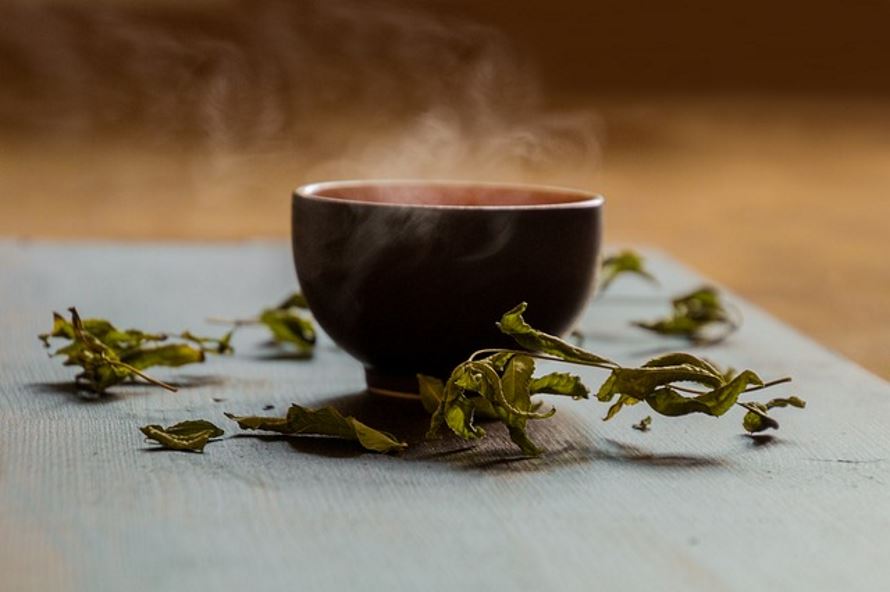 Najzdrowsza herbata spośród wszystkich, czyli zielona – jakie posiada właściwości i jak należy ją parzyć?