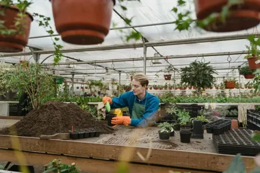 Jakie są najlepsze sposoby na zwiększenie ilości plonów? Sprawdzone metody dla zdrowych i wydajnych upraw
