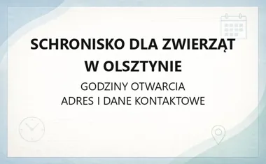 Schronisko dla Zwierząt w Olsztynie - kontakt, godziny, adopcje