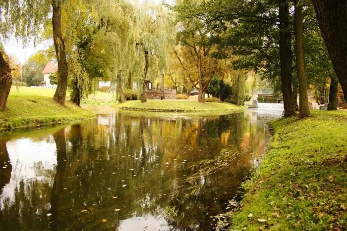 Minutowy harmonogram Pikniku Lotniczego w Gryźlinach już dostępny!