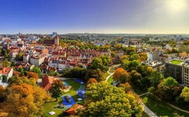 Czysty Olsztyn na wiosnę zamienił porządki w lekcję odpowiedzialności