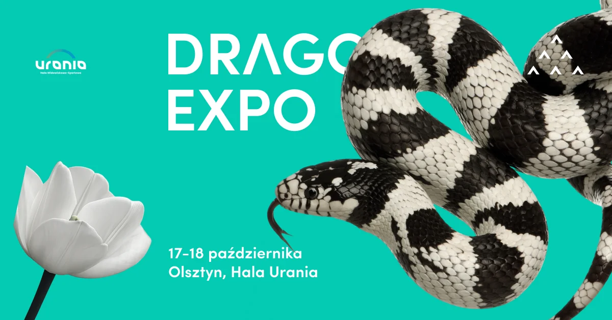 Grafika promocyjna wydarzenia Dragon Expo Olsztyn: terraria i rośliny