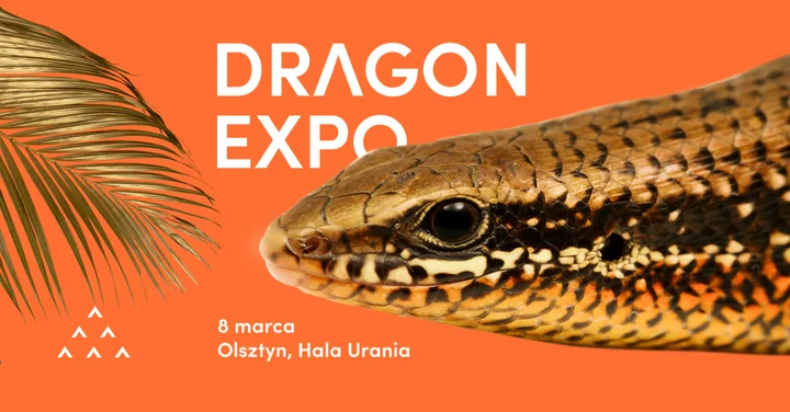 Grafika promocyjna wydarzenia Dragon Expo / Olsztyn — event terrarystyczny i botaniczny, 8 marca 2026