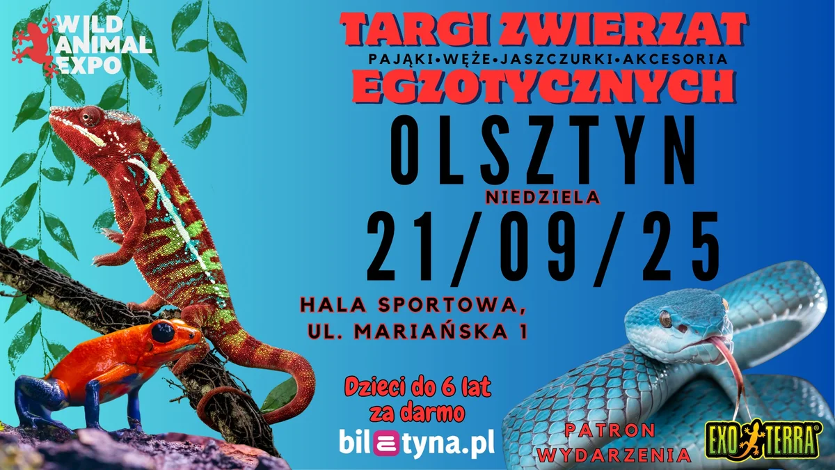 Grafika promocyjna wydarzenia Targi zwierząt egzotycznych w Olsztynie