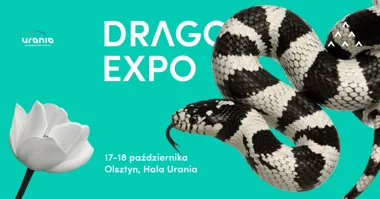 Dragon Expo Olsztyn: terraria i rośliny