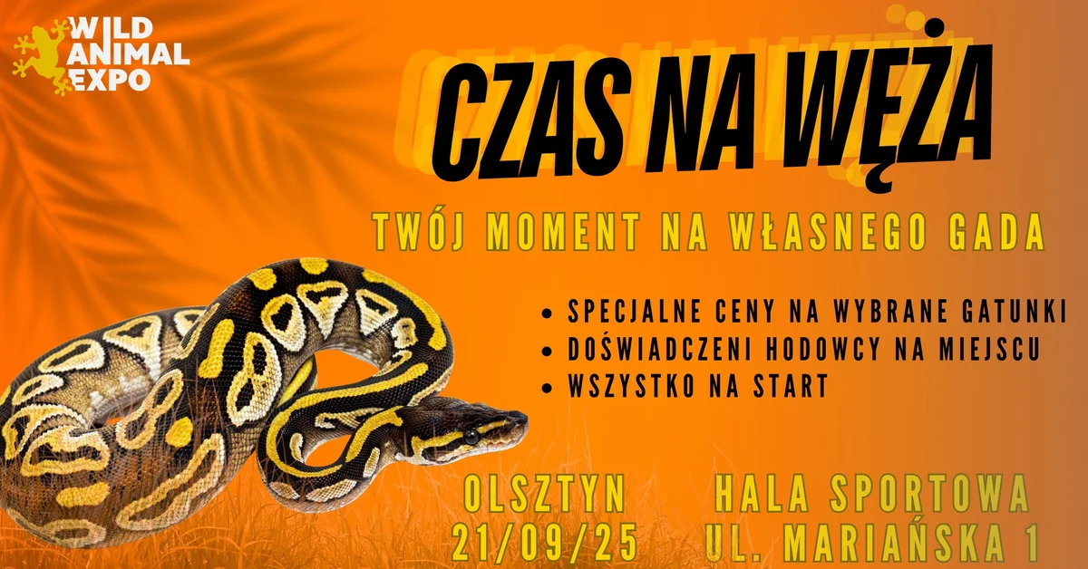 Grafika promocyjna wydarzenia Wystawa i sprzedaż węży w Olsztynie – oferta dla miłośników gadów
