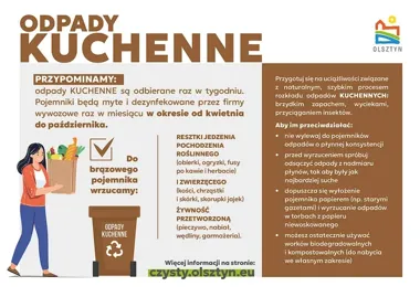 Brązowy pojemnik latem daje się we znaki. Olsztyn podpowiada, jak go oswoić