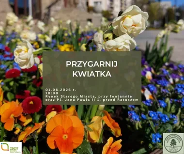 Kwiaty z miejskich donic trafią do mieszkańców. W centrum rusza popularna akcja