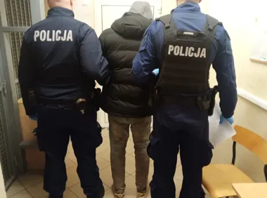 Osiem osób bez dokumentów w Hondzie - francuski kierowca trafił do aresztu