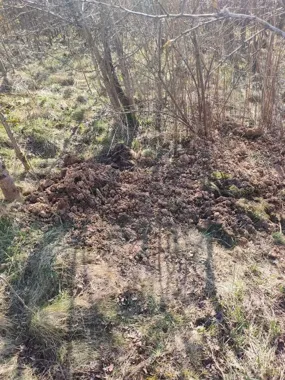 Zakopał łupy na działce - kryminalni odkopali je spod ziemi