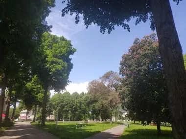 100 tys. zł na miododajne nasadzenia. Wsparcie trafiło do 20 gmin